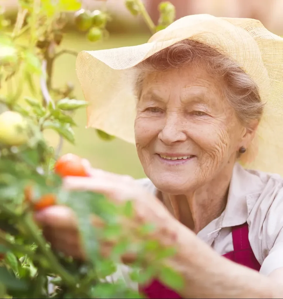 senior woman gardening